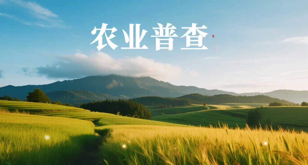 国情国力普查案例3